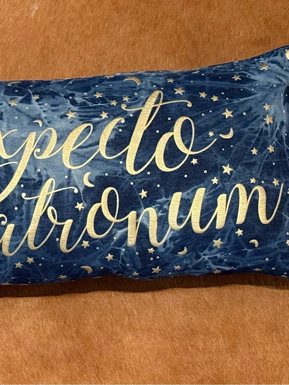 Pottery Barn Teen pb HARRY POTTER™ Expecto Patronum Blue Pillow Hedwig owl